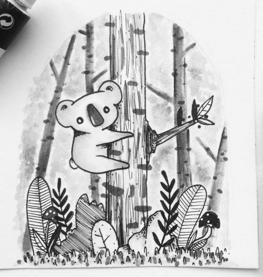sketchbook
